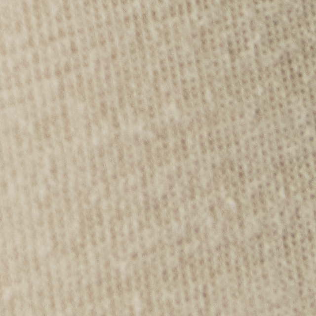 Current Tech Tee | Biscotti