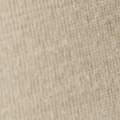 Current Tech Tee | Biscotti