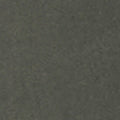 Kore Everyday Short Lined 7" | Dark Oregano