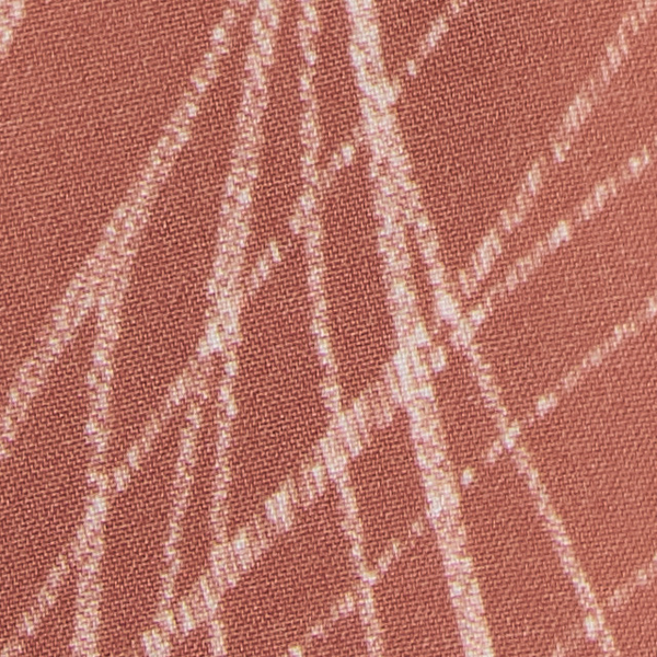 Cruise Boardshort 5" | Vintage Red Palm Shadow