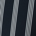 Banks Resort Short | Ink Bayside Stripe