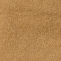 Coast Short 7" | Burlap