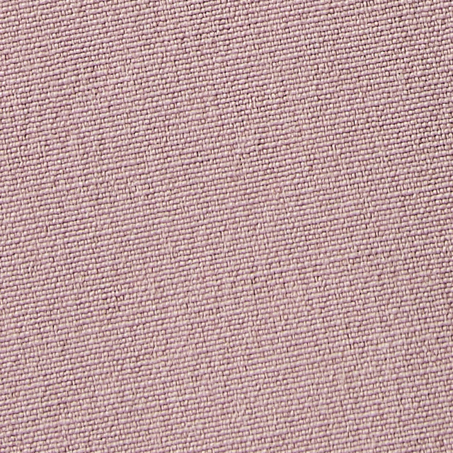 Aim Short 8" | Mauve