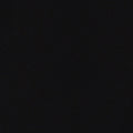 Kore Short Lined 5" | Black