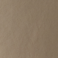 Kore Short Unlined 5" | Biscotti Tonal