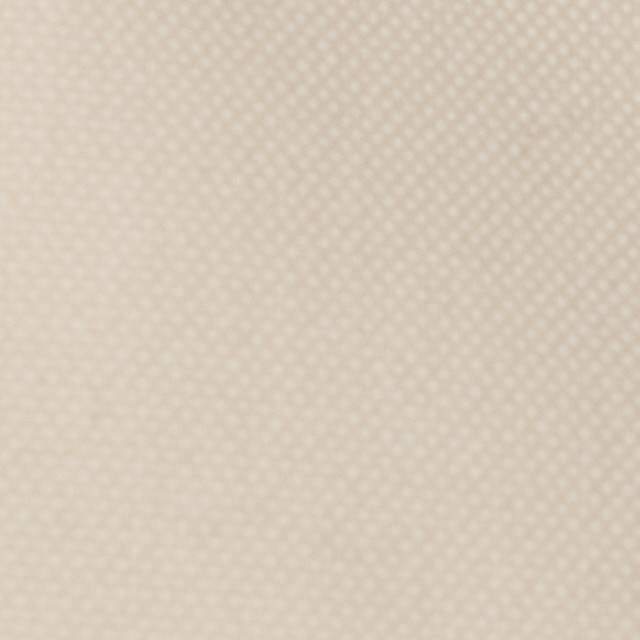 Cove Canvas Tote | Bone