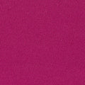 Daily Speed Short 2.5" | Dragonfruit
