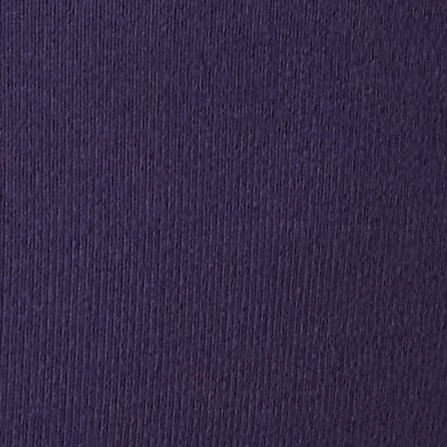 Long Sleeve Halo Essential Scoop | Velvet Violet