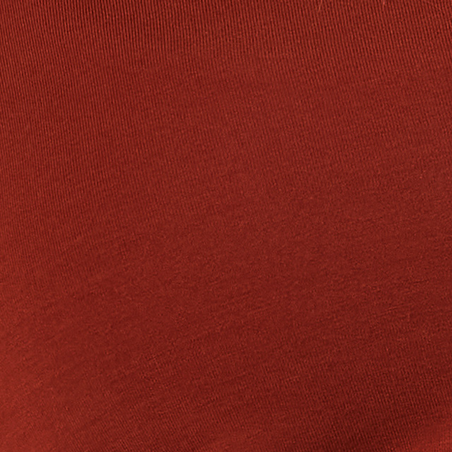 Long Sleeve Modal Top | Red Ochre