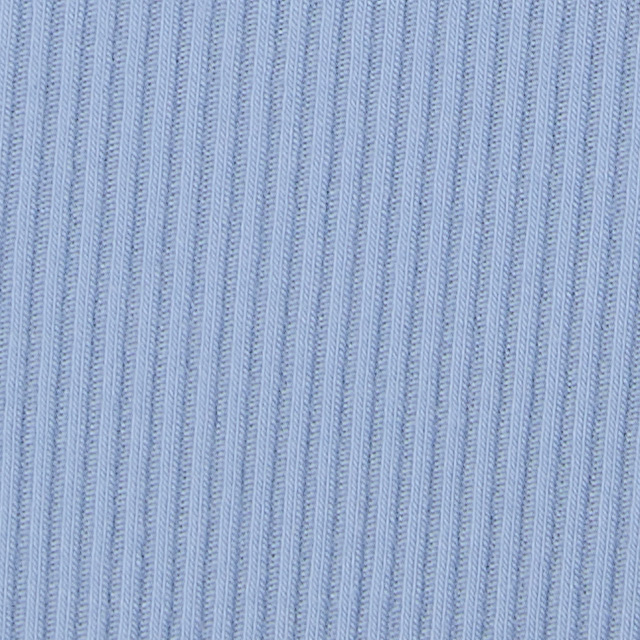 Long Sleeve Pose Subtle Scoop | Celestial