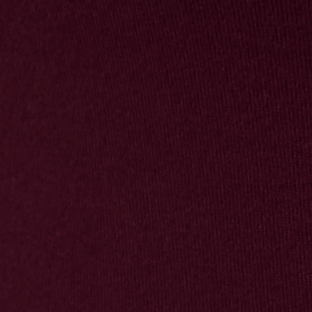 Halo Mini Full Zip Hoodie - Long | Cherry Noir