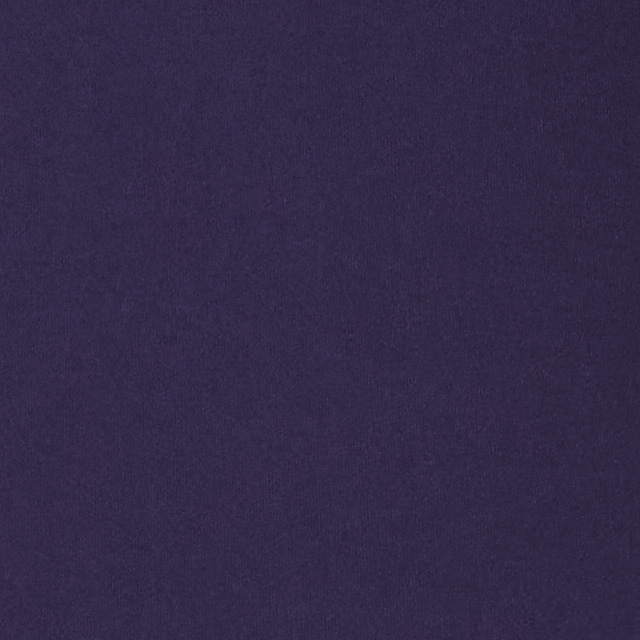 Halo Mini Full Zip Hoodie - Long | Velvet Violet