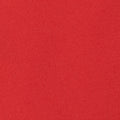 Daily Speed Short 2.5" | Crimson