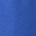 Daily Speed Short 2.5" | Electric Blue