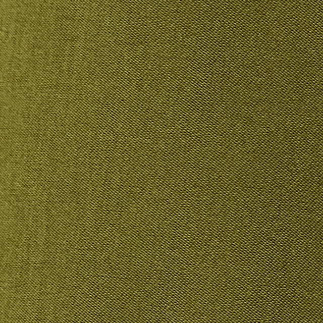Daily Speed Short 2.5" | Meadow