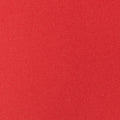 Clementine Retro Short 2.5" | Crimson